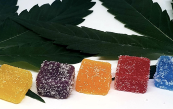 The Delta 8 THC Gummies Dosage That Works Best for You