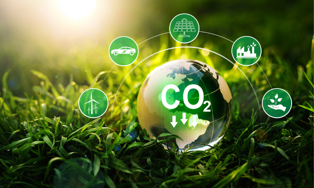 The Growing Market For Carbon Credits